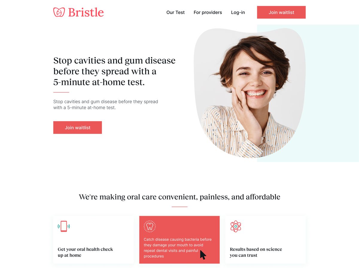 Bristle website design showing its opening section, product navigation and supporting feature panels.
