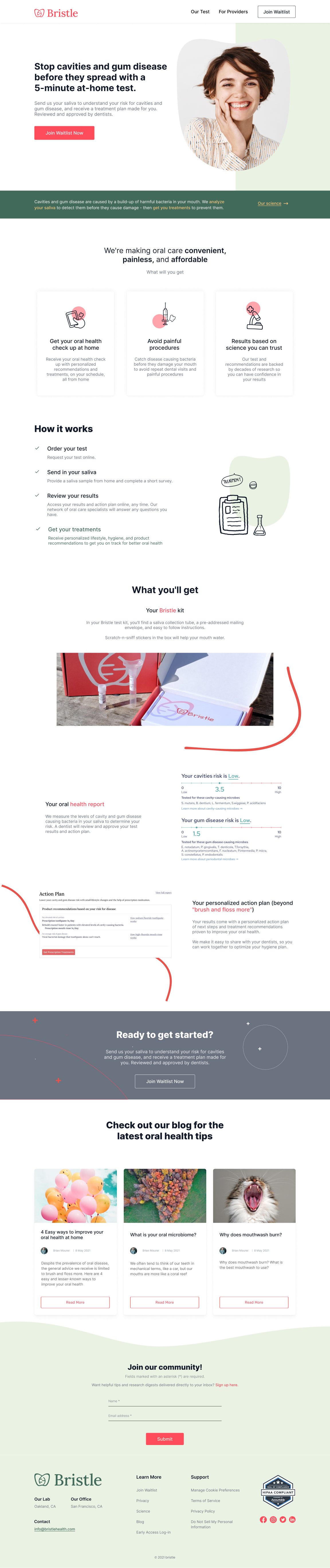 Bristle website design: Bristle V1